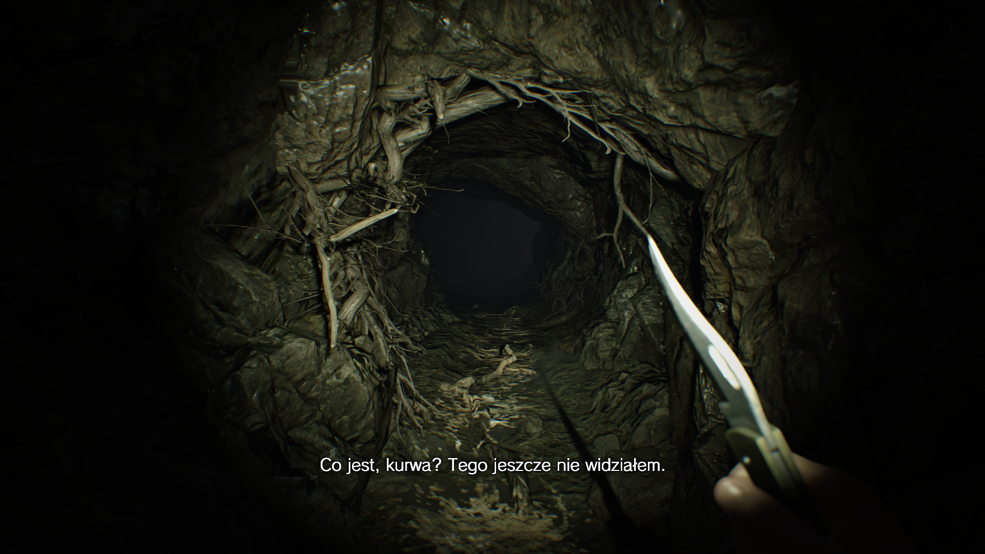 re7_2017_01_25_18_36_rjsea.png