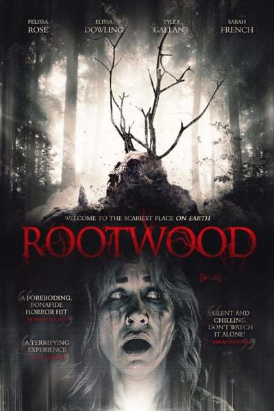 rootwood.blutiger.wal31k12.jpg