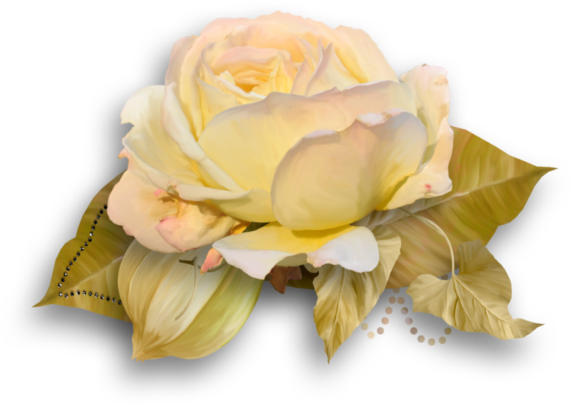 rose-png-gul-18hyktw.png