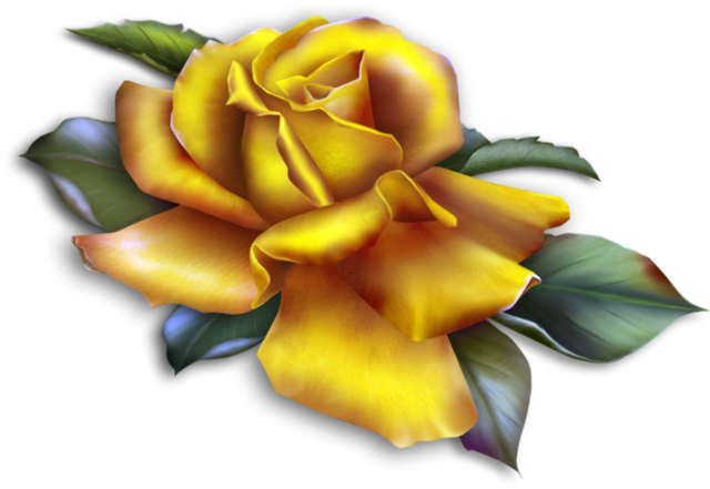 rose_png_gul_png_13_znsm8.png