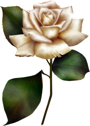 rose_png_gul_png_9_e8s1p.png