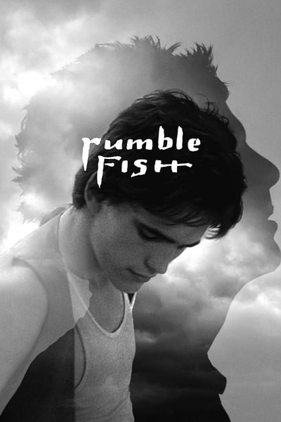 rumble.fish.1983.remadbdn1.jpg