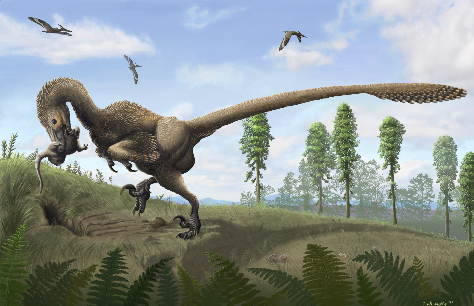 saurornitholestesvmj73.jpg