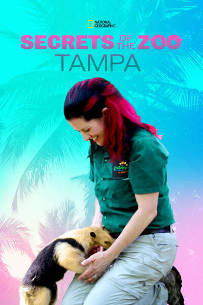 Secrets of the Zoo Tampa S04E01 1080p HEVC x265-MeGusta
