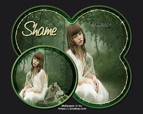 Tutorial 25 - "Shame" (Juni 2016) Shameyfk3i