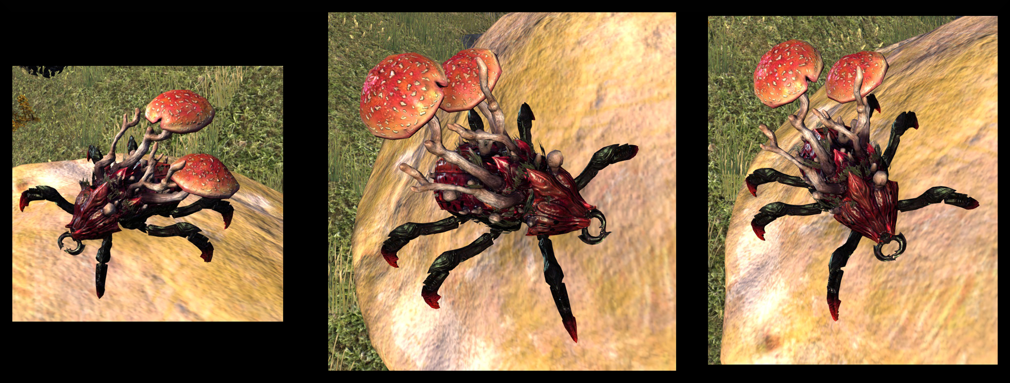shroombeettleogs1a.png
