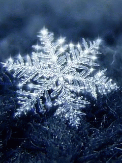 snowflake-snowf4kp2.gif