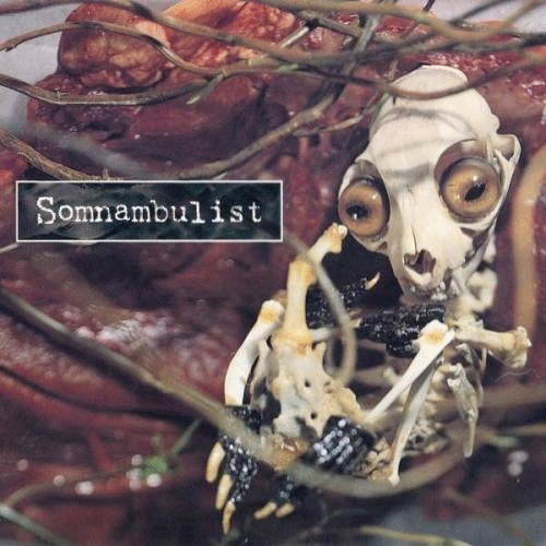 Somnambulist - Discography (1996-2001)