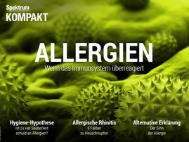 Spektrum Kompakt: Allergien