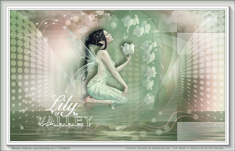 td lily of the valleyi1je1