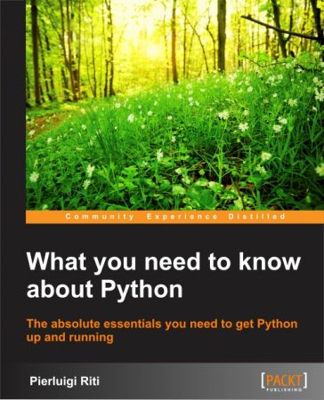 What You Need to Know About Python