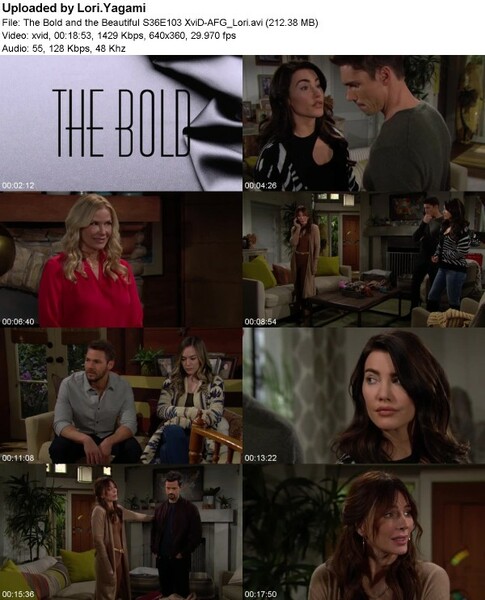 The Bold and the Beautiful S36E103 XviD-[AFG]