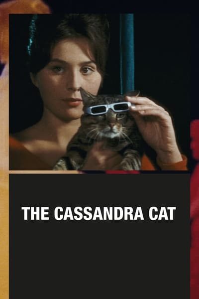 the.cassandra.cat.1963od5m.jpg