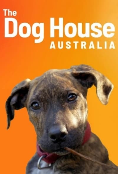 The Dog House AU S03E04 XviD-AFG