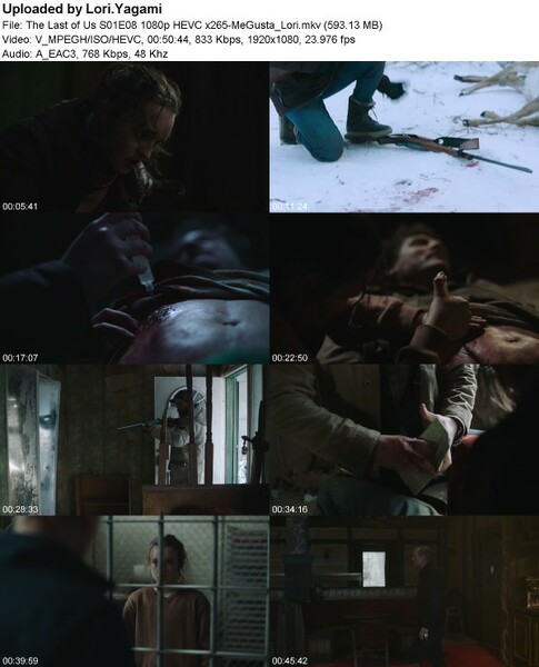 The Last of Us S01E08 1080p HEVC x265-[MeGusta]