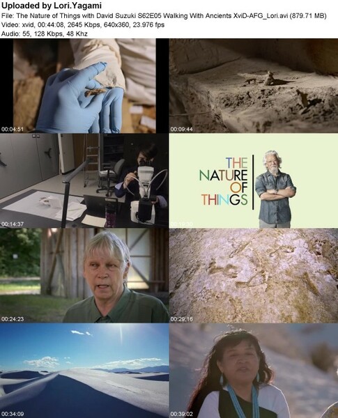 The Nature of Things with David Suzuki S62E05 Walking With Ancients XviD-[AFG]