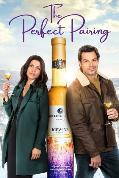 The Perfect Pairing (2022) PROPER WEBRip x264-ION10