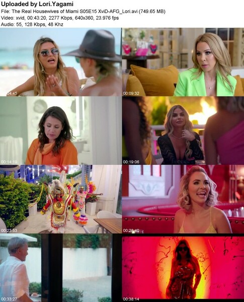 The Real Housewives of Miami S05E15 XviD-[AFG]