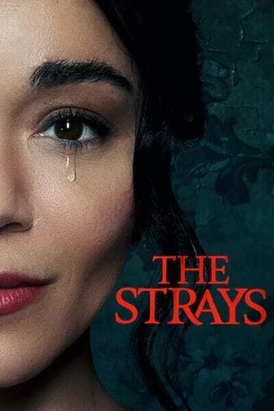The Strays (2023) 1080p WEBRip x264-GalaxyRG