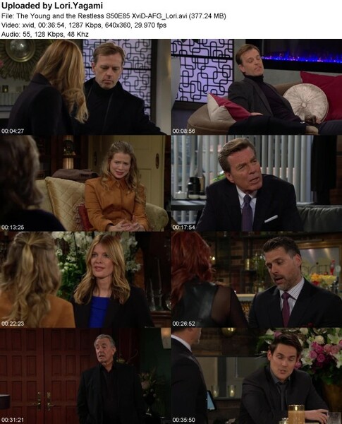 The Young and the Restless S50E85 XviD-[AFG]