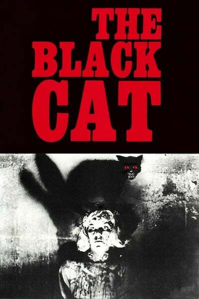 [Image: the_black_cat_1966_72x4eds.jpg]