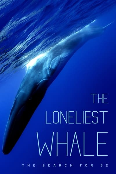 [Image: the_loneliest_whale_tq2drt.jpg]