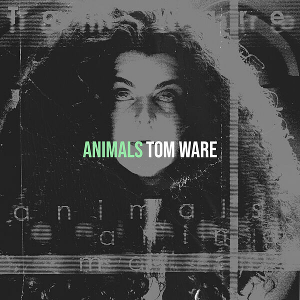 tom_ware_-_animals_207ddai.jpg