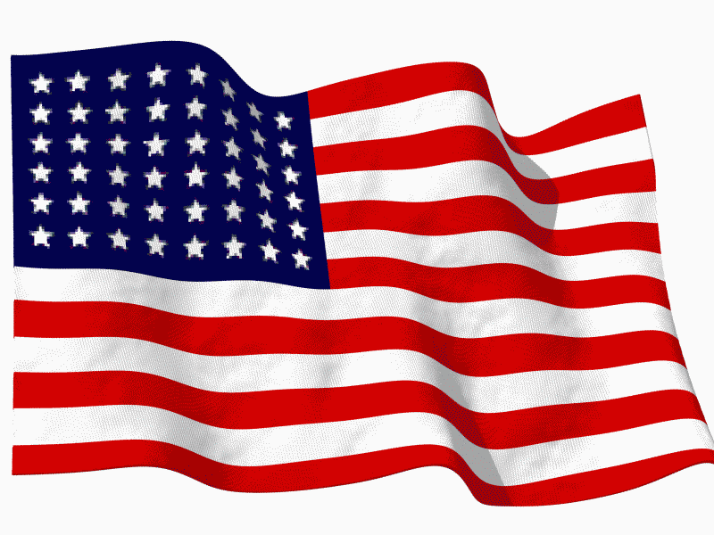 usa-american-flag-gif4dst0.gif