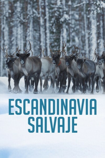 wild.scandinavia.2023v3ed3.jpg