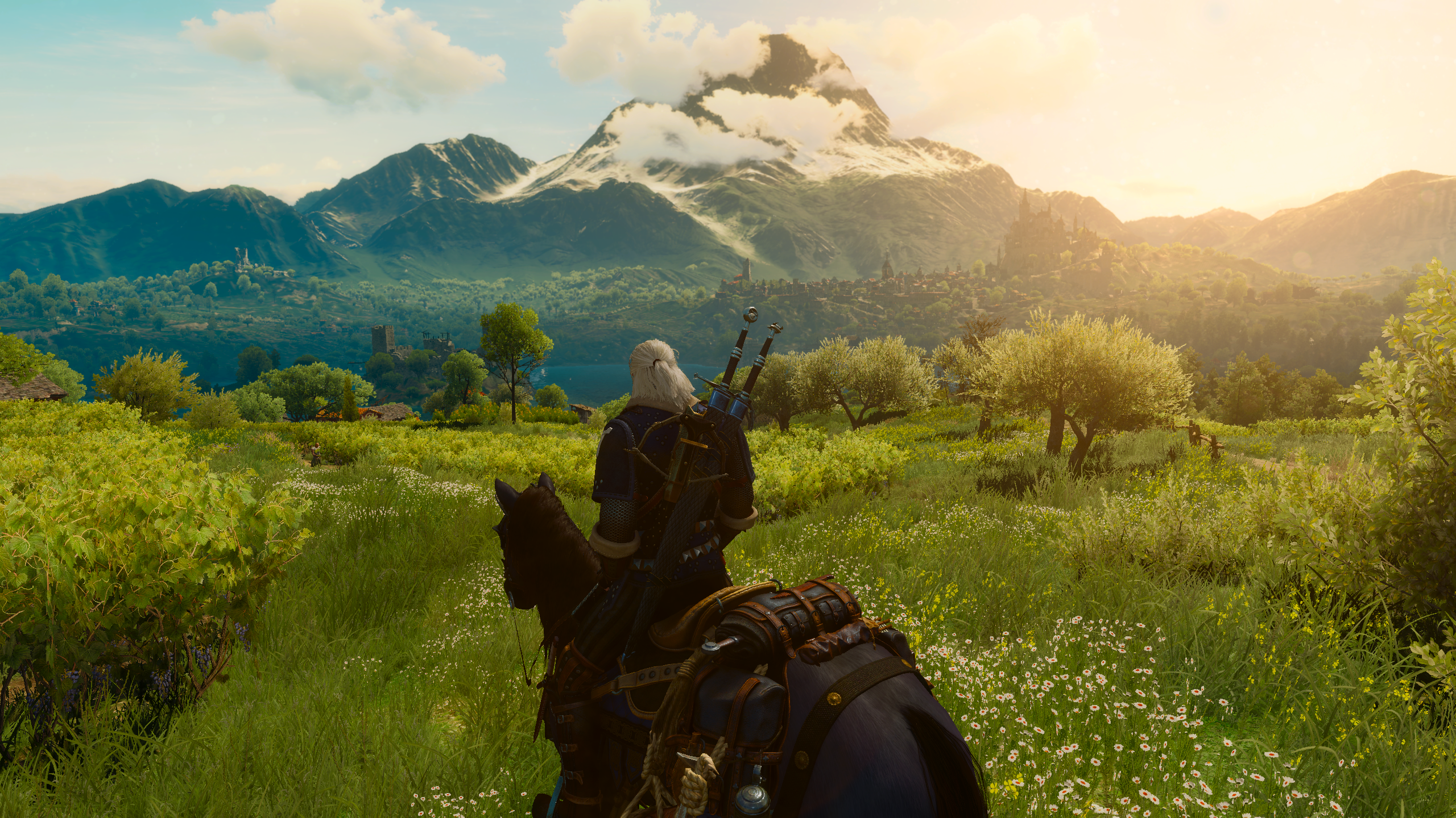 witcher32016-05-2800-88rd1.png