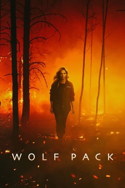 Wolf Pack S01E04 1080p HEVC x265-[MeGusta]