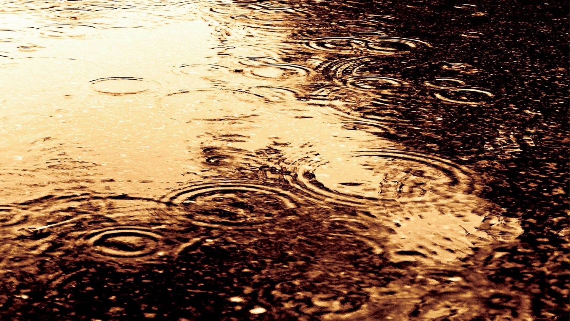 Желто коричневая вода. Круги на воде. Капли дождя на воде. Коричневая вода. Красивая лужа.