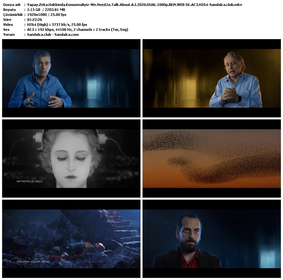Yapay Zeka Hakkında Konuşmalıyız Türkçe Dublaj indir | 1080p DUAL | 2020