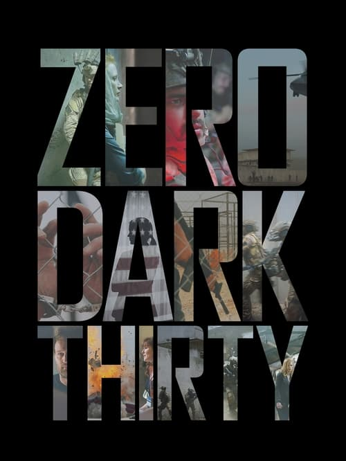 zero.dark.thirty.20122ii2x.png