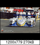 24 HEURES DU MANS YEAR BY YEAR PART FIVE 2000 - 2009 - Page 7 01lm14lmp2001sara-mko5xjgi