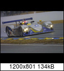 24 HEURES DU MANS YEAR BY YEAR PART FIVE 2000 - 2009 - Page 7 01lm16lmp2001oberettazqjl1