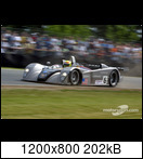 24 HEURES DU MANS YEAR BY YEAR PART FIVE 2000 - 2009 - Page 11 02lm06cadillaclmp02wtowjqu
