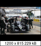 24 HEURES DU MANS YEAR BY YEAR PART FIVE 2000 - 2009 - Page 16 03lm08bentleyexps8mbl7wda8