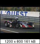 24 HEURES DU MANS YEAR BY YEAR PART FIVE 2000 - 2009 - Page 17 03lm11panozlmp1obereta2i8f
