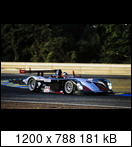 24 HEURES DU MANS YEAR BY YEAR PART FIVE 2000 - 2009 - Page 17 03lm12panozlmp1bleuenl7dor