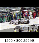 24 HEURES DU MANS YEAR BY YEAR PART FIVE 2000 - 2009 - Page 17 03lm16domes101fortiz-sdear