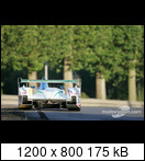 24 HEURES DU MANS YEAR BY YEAR PART FIVE 2000 - 2009 - Page 26 05lm02ar8f.biela-e.pixmee4