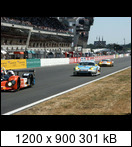 24 HEURES DU MANS YEAR BY YEAR PART FIVE 2000 - 2009 - Page 30 05lm83p996gtrp.collinu1dyk