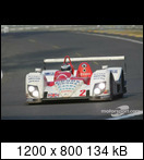 24 HEURES DU MANS YEAR BY YEAR PART FIVE 2000 - 2009 - Page 31 06lm02zytek06sj.niels03cxs