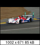 24 HEURES DU MANS YEAR BY YEAR PART FIVE 2000 - 2009 - Page 31 06lm02zytek06sj.niels0wck1