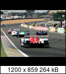 24 HEURES DU MANS YEAR BY YEAR PART FIVE 2000 - 2009 - Page 31 06lm02zytek06sj.niels88dn6