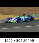 24 HEURES DU MANS YEAR BY YEAR PART FIVE 2000 - 2009 - Page 31 06lm16pescaroloc60hn.fmcfm