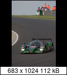 24 HEURES DU MANS YEAR BY YEAR PART SIX 2010 - 2019 10lm11lolab10-60p.drak4frx