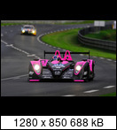 24 HEURES DU MANS YEAR BY YEAR PART SIX 2010 - 2019 - Page 2 10lm35pescarolo01.evo3zdcw
