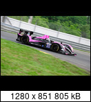 24 HEURES DU MANS YEAR BY YEAR PART SIX 2010 - 2019 - Page 2 10lm35pescarolo01.evonpei1